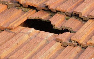 roof repair Mowden