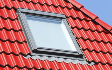 roof windows Mowden