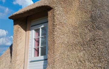 Mowden thatch roof disadvantages
