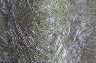 Mowden fibreglass roof work